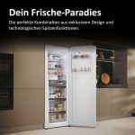 Haier Gefrierschrank Mit Abtauautomatik Und Eiswürfelbereiter I Instaswitch H4F272WDH1 I Total No Frost Tiefkühlschrank, 276 L Kapazität I Eisschrank Auch Als Kühlschrank Nutzbar I Freezer Mit Wi-Fi