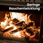 Kaminholz Breuer Premium Buchen-Brennholz – 1 RM Palette – Kammergetrocknetes, sauberes & schädlingsfreies Hartholz für Kamin, Grill & Ofen (Wahlweise 25 cm oder 30 cm Scheitlänge | Inkl. Gratis Anzündholz) - Image 5