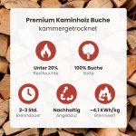 Kaminholz Breuer Premium Buchen-Brennholz – 1 RM Palette – Kammergetrocknetes, sauberes & schädlingsfreies Hartholz für Kamin, Grill & Ofen (Wahlweise 25 cm oder 30 cm Scheitlänge | Inkl. Gratis Anzündholz) - Image 2