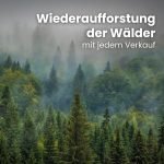 Kaminholz Breuer Premium Buchen-Brennholz – 1 RM Palette – Kammergetrocknetes, sauberes & schädlingsfreies Hartholz für Kamin, Grill & Ofen (Wahlweise 25 cm oder 30 cm Scheitlänge | Inkl. Gratis Anzündholz) - Image 9