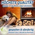 Reines Birken-Brennholz – Kammergetrocknet – Scheitlänge 25 cm – 1,8 RM auf Palette – Ideal für Kamin, Ofen & Werkstatt – Made in Germany - Image 2