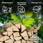 Buchen-Brennholz (300 kg) – Kammergetrocknetes Hartholz – Scheitlänge 25 cm – 10er-Set à 30 kg – Perfekt für Grill, Pizzaofen, Smoker & Kamin - Image 7